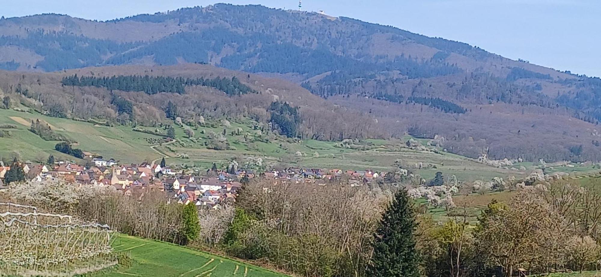 Ferienwohnung Am Blumengaessle Mullheim  Dış mekan fotoğraf