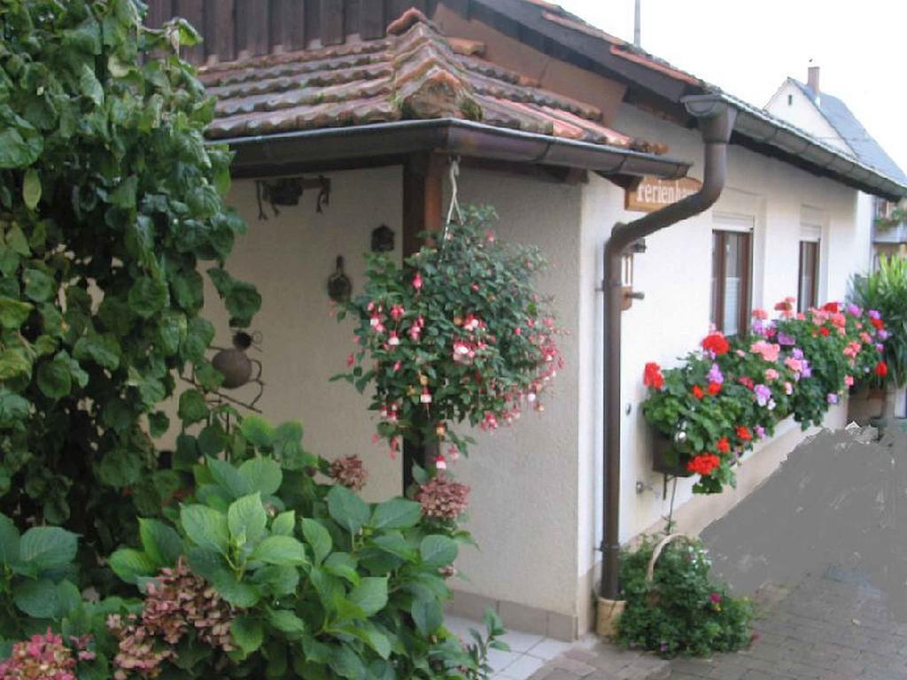 Ferienwohnung Am Blumengaessle Mullheim  Dış mekan fotoğraf